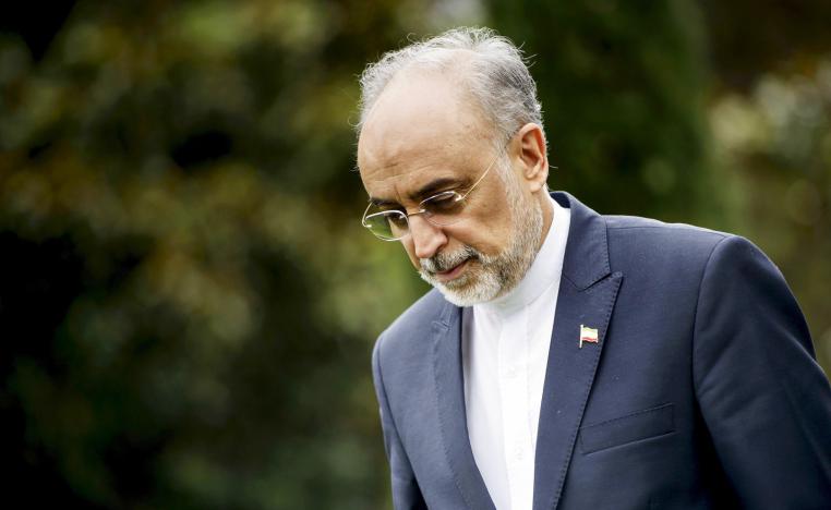 علي أكبر صالحي رئيس منظمة الطاقة الذرية الإيرانية 