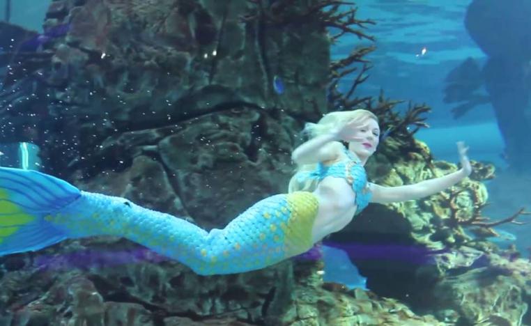 الغوص في أعماقها حياة لحياتك