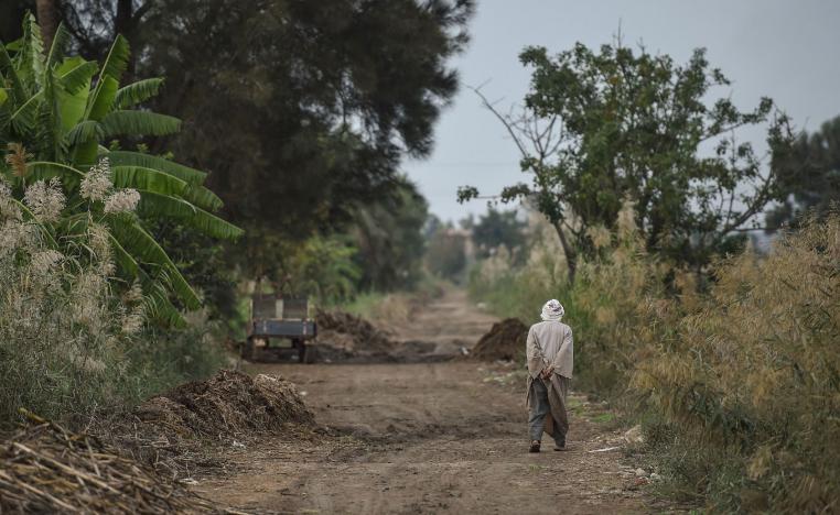 A farmer walks in a field in Kafr al-Dawar village in northern Egypt's Nile Delta, on November 26, 2018.