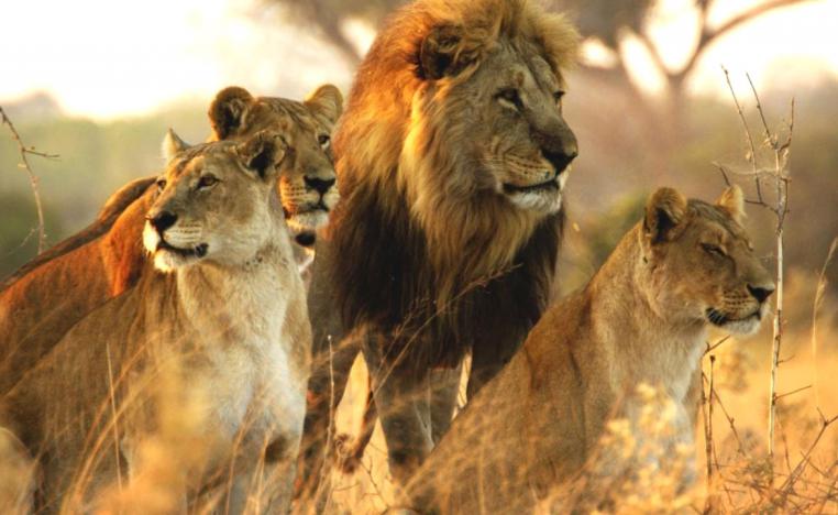 استخدام العلم في الحفاظ على صحة المجتمع