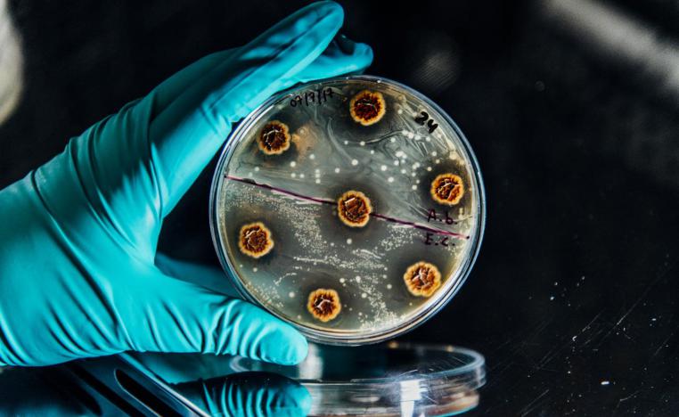 البكتيريا الكابوس