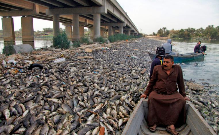 Photo taken on November 02, 2018 Iraqi men sit in boats amidst dead carp from nearby farms floating on the Euphrates river near the town of Sadat al-Hindiya, north of the central Iraqi city of Hilla.