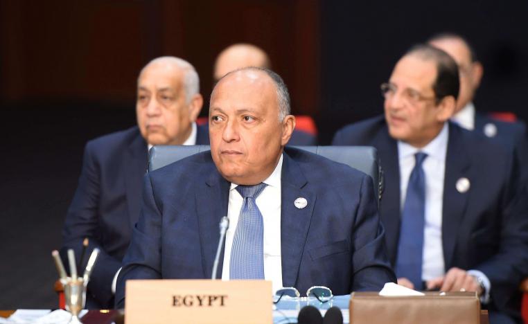 شكري يؤكد عدم تنازل مصر عن حبة رمل من أراضي سيناء