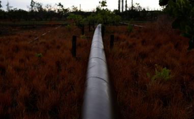 An oil pipeline from petroleum plant crosses a field on the outskirts in El Tigre, Venezuela