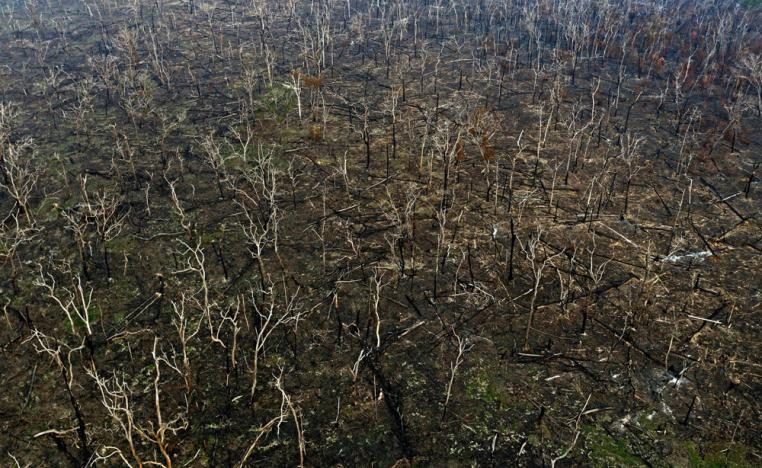 مصابات بالسرطان يبدعن في صناعة الطريزة
