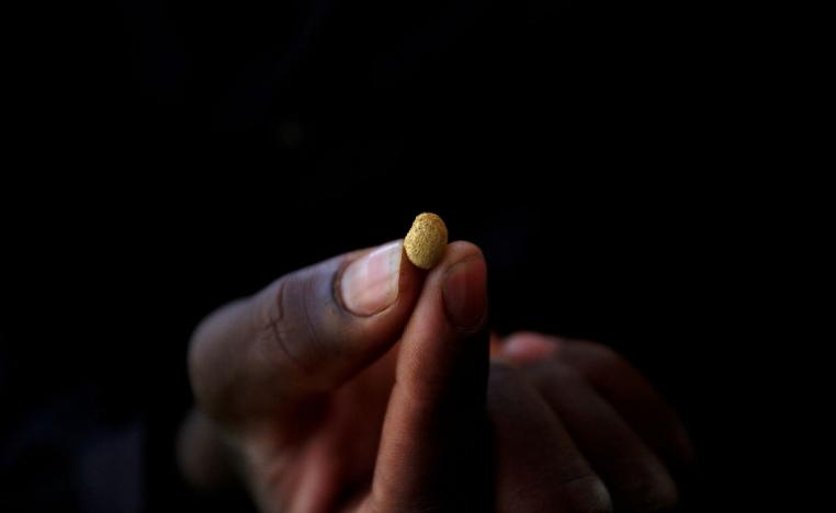 An artisanal gold miner holds a gold nugget at an unlicensed mine in Gaoua, Burkina Faso