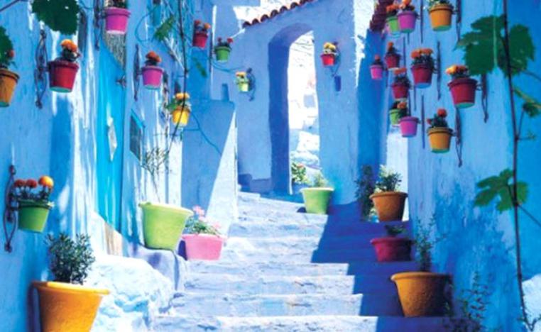 صدحت حناجر الجمهور