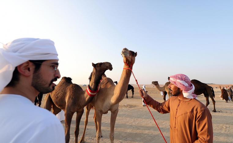 Al Dhafra festival