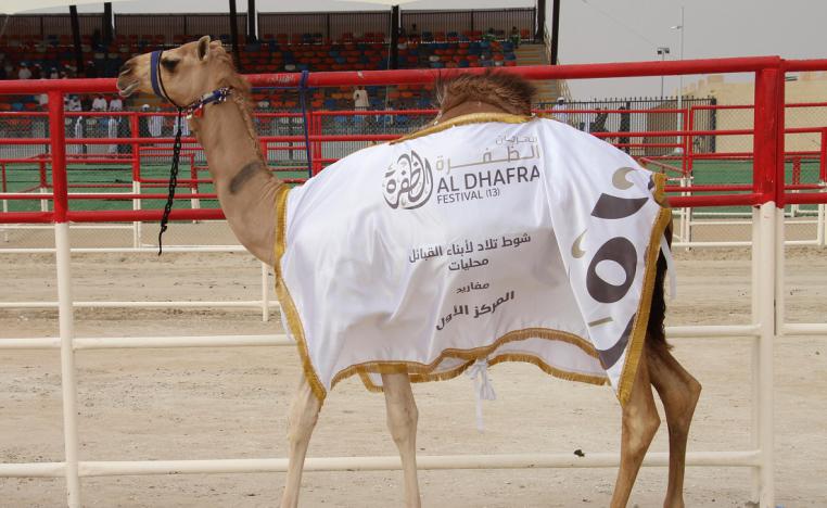 المركز الاول اصايل