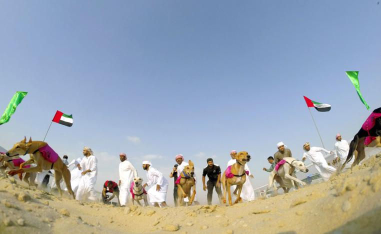 مزاينة تمور الدباس