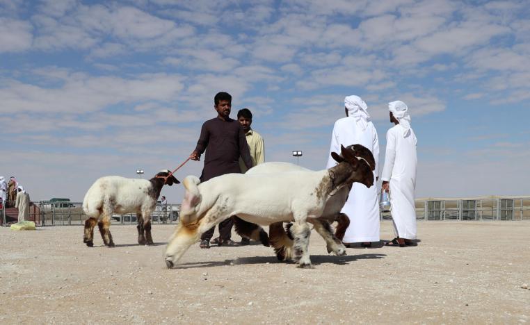 لجنة تحكيم مسابقة تغليف التمور تعلن أسماء الفائزين