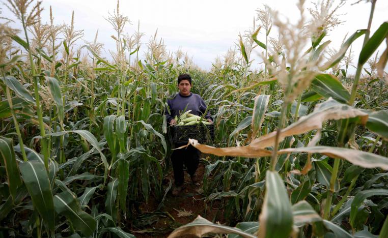Israel's block on goods crossing the Allenby Bridge "violated all the agreements" 