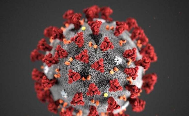 تأويلات متنوّعة لأسباب ظهور الفيروس