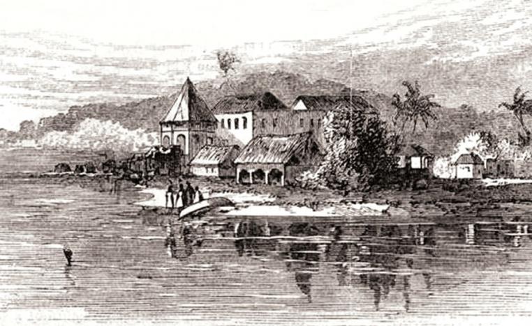 زوال الأمية