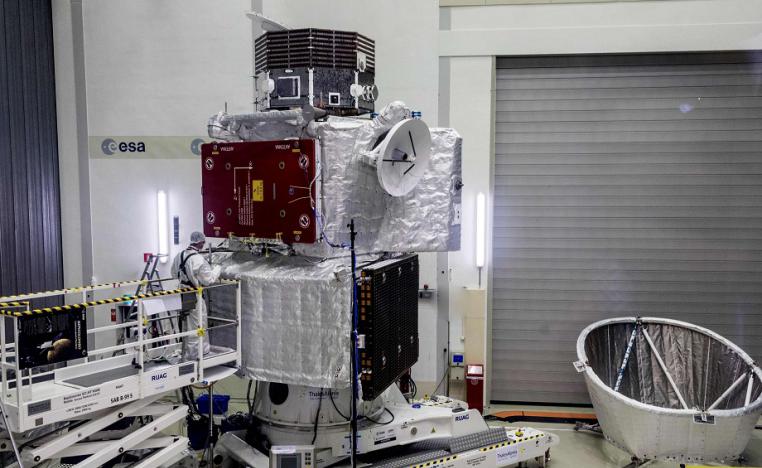 'بيبي كولومبو'