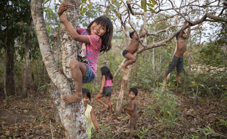 أطفال إحدى القبائل الأصلية في البرازيل يتسلقون أشجار غابة الامازون