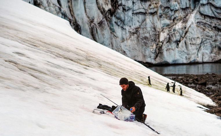 باحثة تأخذ عينات من الطحالب الثلجية على نهر كولينز الجليدي في القارة القطبية الجنوبية