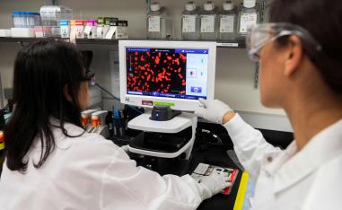 اطباء