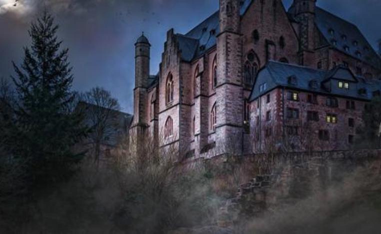 تناقضات صارخة