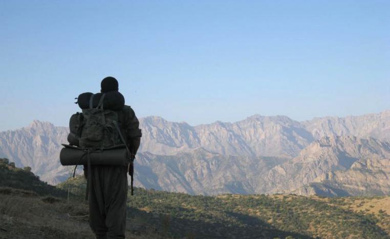 الطائرة هوت على جبل ارتفاعه 2200 متر