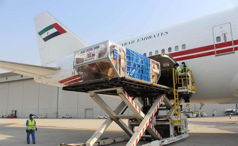 The UAE rushed to help Lebanon with tonnes of medical supplies