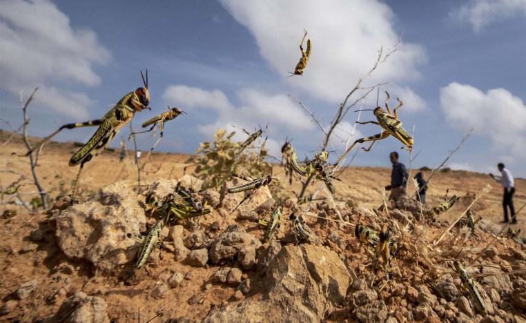 Somalia has already suffered this year from flooding and a locust invasion