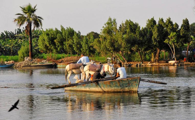 زورق ينقل حميرا عبر النيل