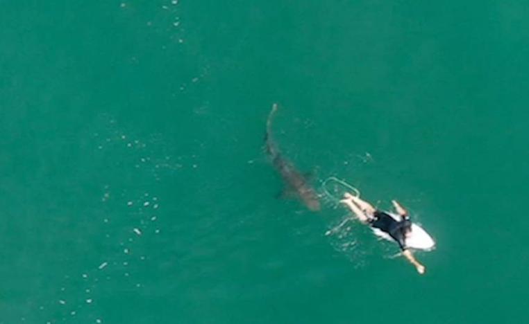  مات ويلكنسون 