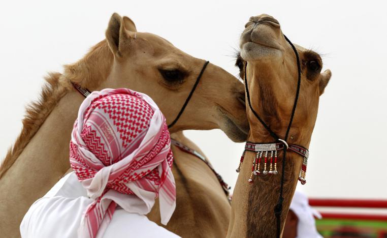 تحفيز النشاط الإقتصادي في منطقة الظفرة 