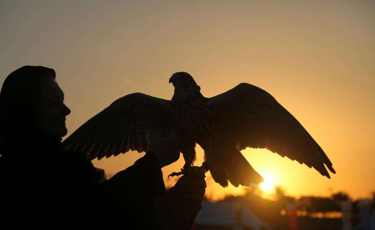 عائد ثقافي واجتماعي وسياحي