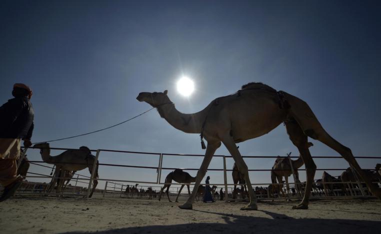 الحفاظ على بيئة الإمارة