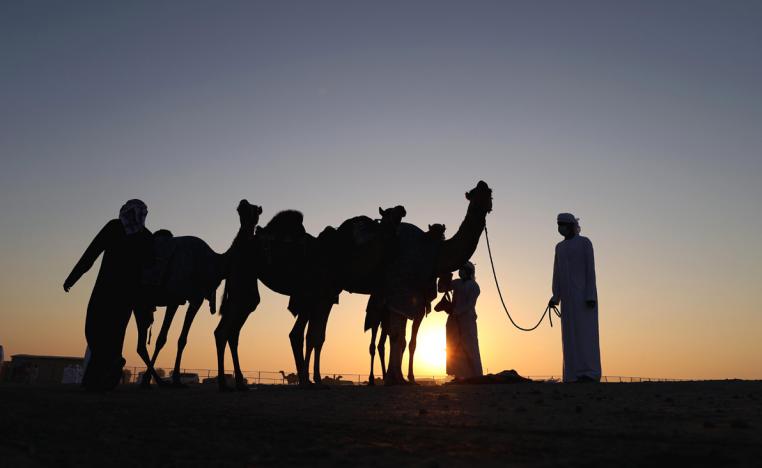 شبوك المبيت