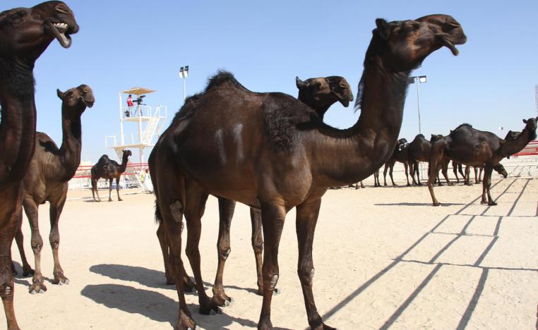 الإجراءات الوقائية والاحترازية