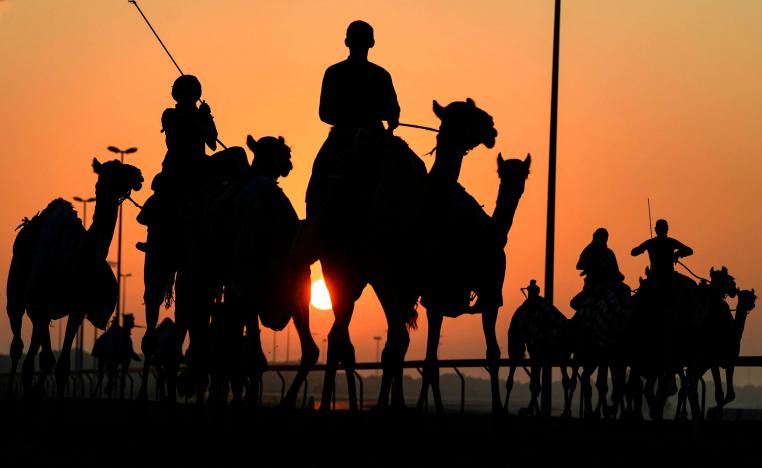 سباق الهجن في قرية المرموم التراثية بدبي في الإمارات في ايلول 2020