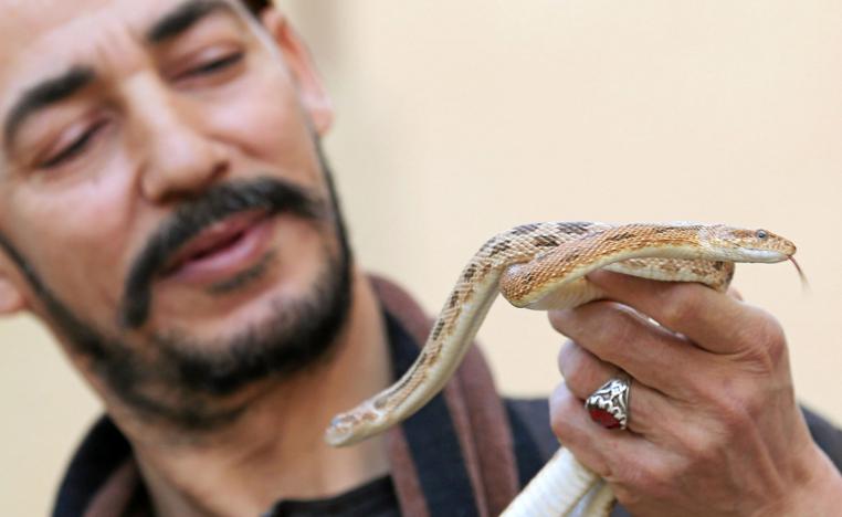 تربية ثعبان