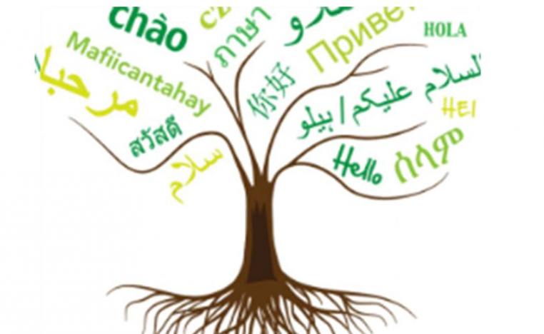 الأب هو القاعدة