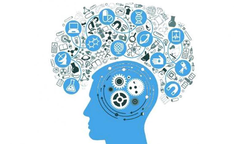 5 فصول تضم 14 مبحثا