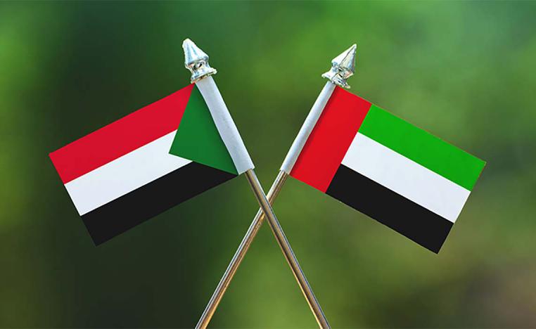 UAE's global efforts to fight the spread of the COVID-19 pandemic continue unabated