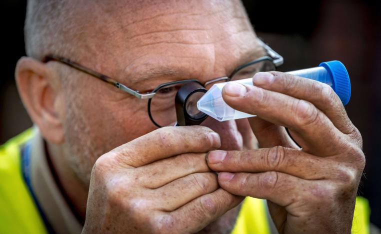 بعوضة النمر