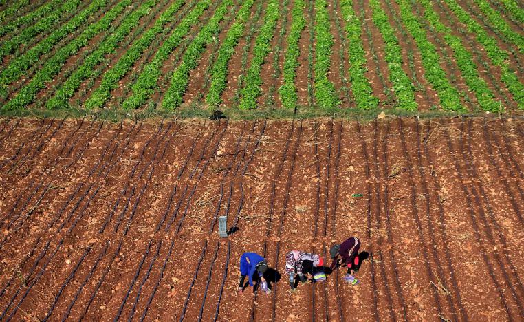 The fruit and vegetables trade is worth $24 million annually