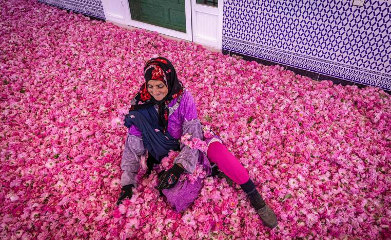 The rose is the only source of livelihood