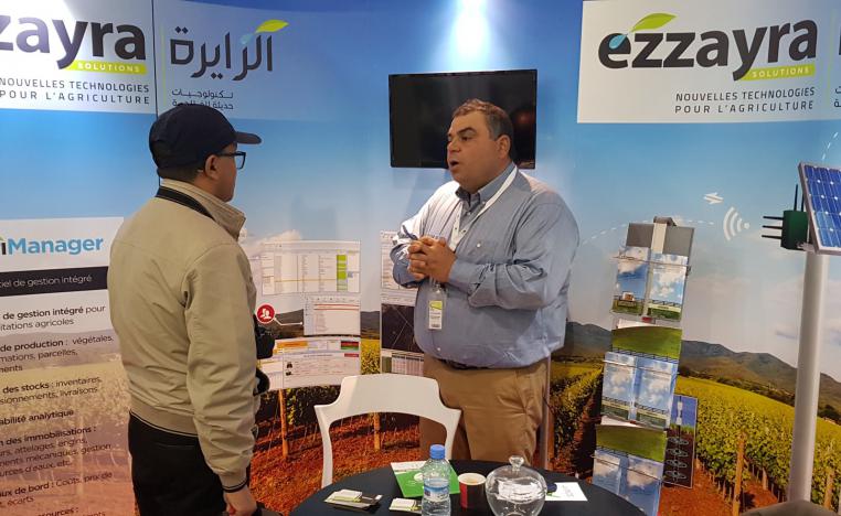 حلول الزايرة