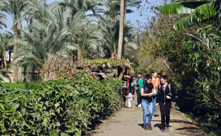 قسم الرصد