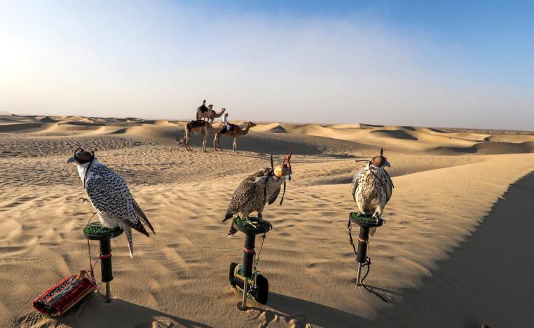 The competition encourages poets to write about falconry