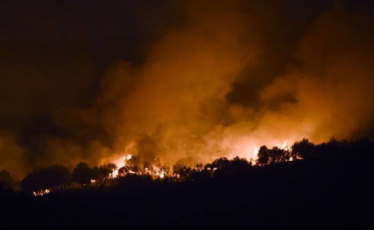 حرائق الغابات  