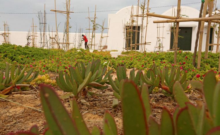 مقبرة "حديقة افريقيا"