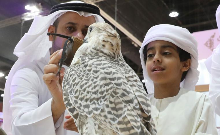 إبراز ثيمة المعرض