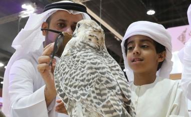إبراز ثيمة المعرض