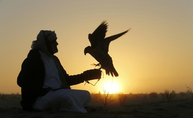 أبوظبي الدولي للصيد 