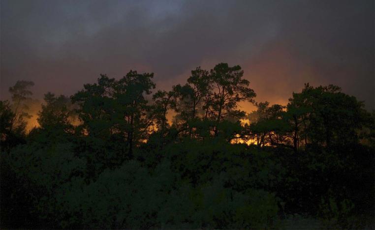 several homes, businesses, crops and vehicles were damaged by the wildfire